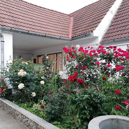 Pensiunea Spack Hotell Cristian  Exteriör bild