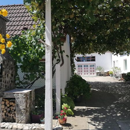 Pensiunea Spack Hotell Cristian  Exteriör bild